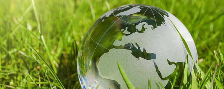 Bild vergrößern: Weltkugel aus Glas, Erde mit Gras und Sonne, Naturschutz, Umweltschutz, Klimaschutz